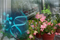 IMG/jpg/posgrado_plantas.jpg