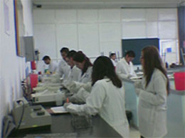 Docencia en Licenciatura